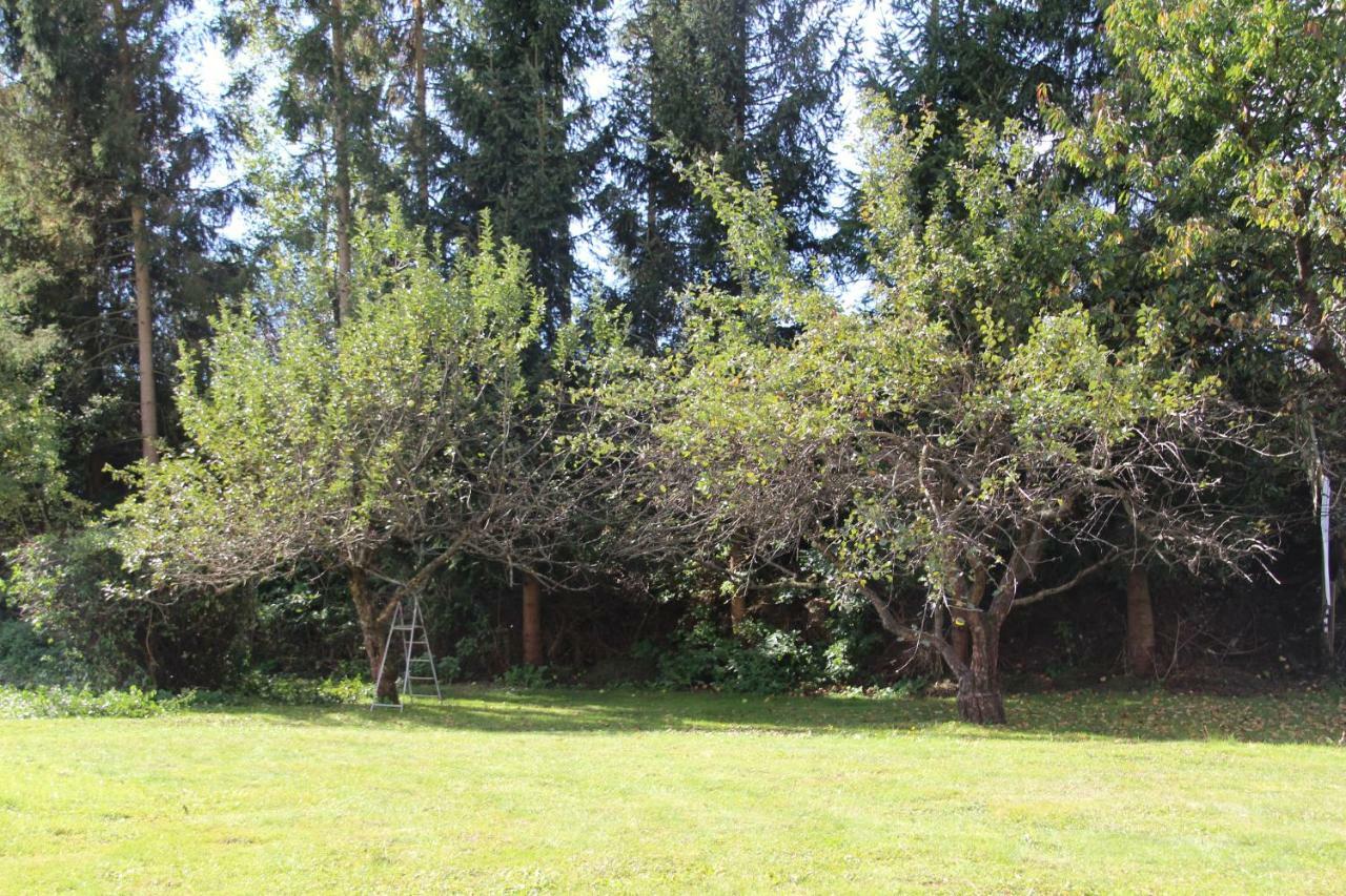 Narrenhaus Villa Fohnsdorf Exterior foto